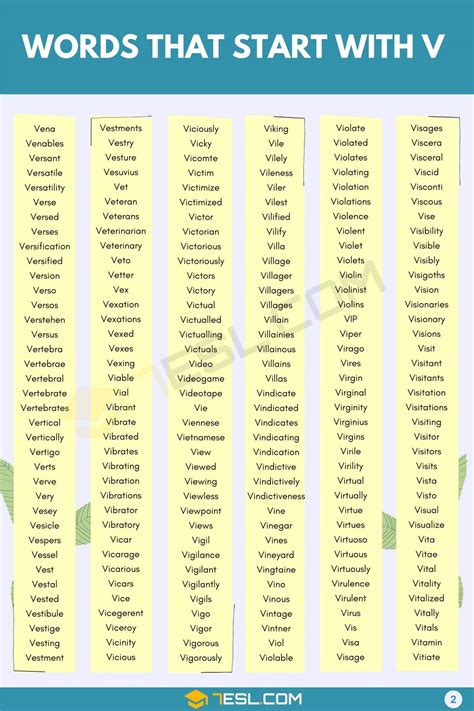 words that start with vu.